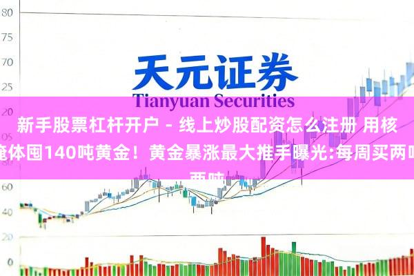 新手股票杠杆开户 - 线上炒股配资怎么注册 用核掩体囤140吨黄金！黄金暴涨最大推手曝光:每周买两吨