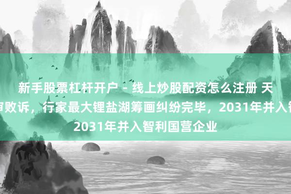 新手股票杠杆开户 - 线上炒股配资怎么注册 天王人锂业终审败诉，行家最大锂盐湖筹画纠纷完毕，2031年并入智利国营企业