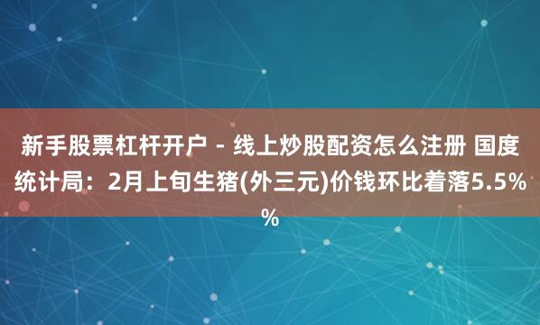 新手股票杠杆开户 - 线上炒股配资怎么注册 国度统计局：2月上旬生猪(外三元)价钱环比着落5.5%