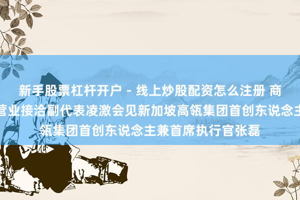 新手股票杠杆开户 - 线上炒股配资怎么注册 商务部副部长兼海外营业接洽副代表凌激会见新加坡高瓴集团首创东说念主兼首席执行官张磊