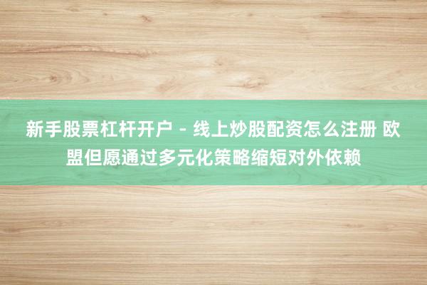 新手股票杠杆开户 - 线上炒股配资怎么注册 欧盟但愿通过多元化策略缩短对外依赖