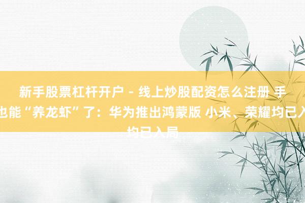 新手股票杠杆开户 - 线上炒股配资怎么注册 手机也能“养龙虾”了：华为推出鸿蒙版 小米、荣耀均已入局