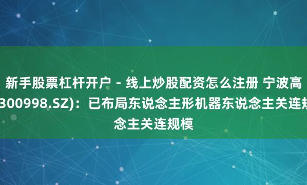 新手股票杠杆开户 - 线上炒股配资怎么注册 宁波高洁(300998.SZ)：已布局东说念主形机器东说念主关连规模