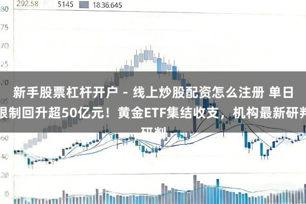 新手股票杠杆开户 - 线上炒股配资怎么注册 单日限制回升超50亿元！黄金ETF集结收支，机构最新研判