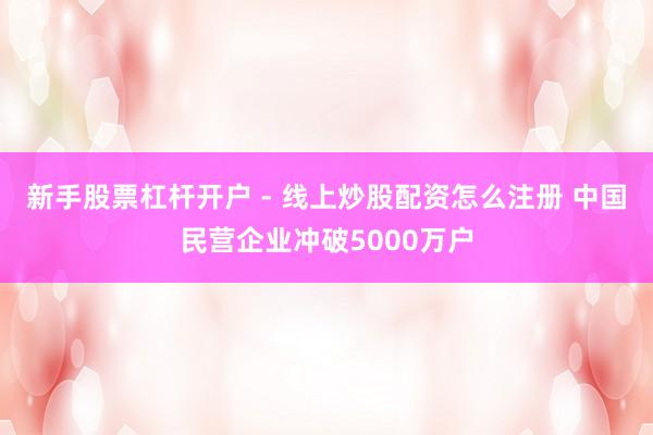新手股票杠杆开户 - 线上炒股配资怎么注册 中国民营企业冲破5000万户