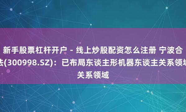 新手股票杠杆开户 - 线上炒股配资怎么注册 宁波合法(300998.SZ)：已布局东谈主形机器东谈主关系领域