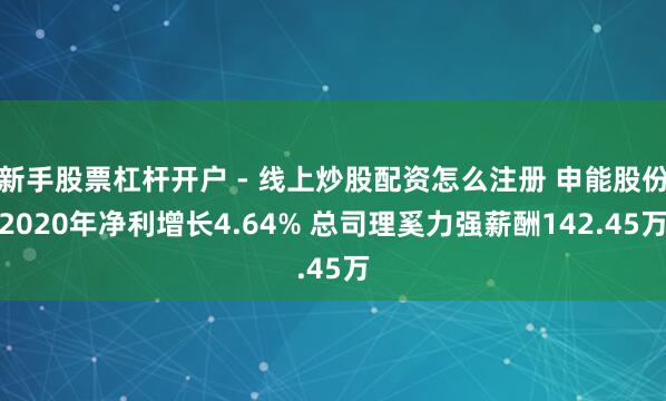 新手股票杠杆开户 - 线上炒股配资怎么注册 申能股份2020年净利增长4.64% 总司理奚力强薪酬142.45万