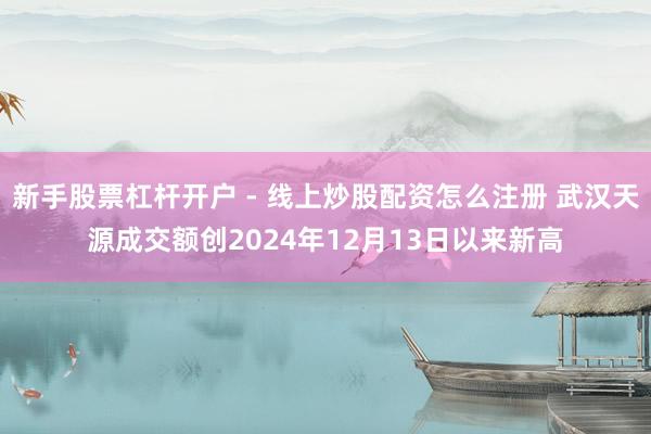新手股票杠杆开户 - 线上炒股配资怎么注册 武汉天源成交额创2024年12月13日以来新高